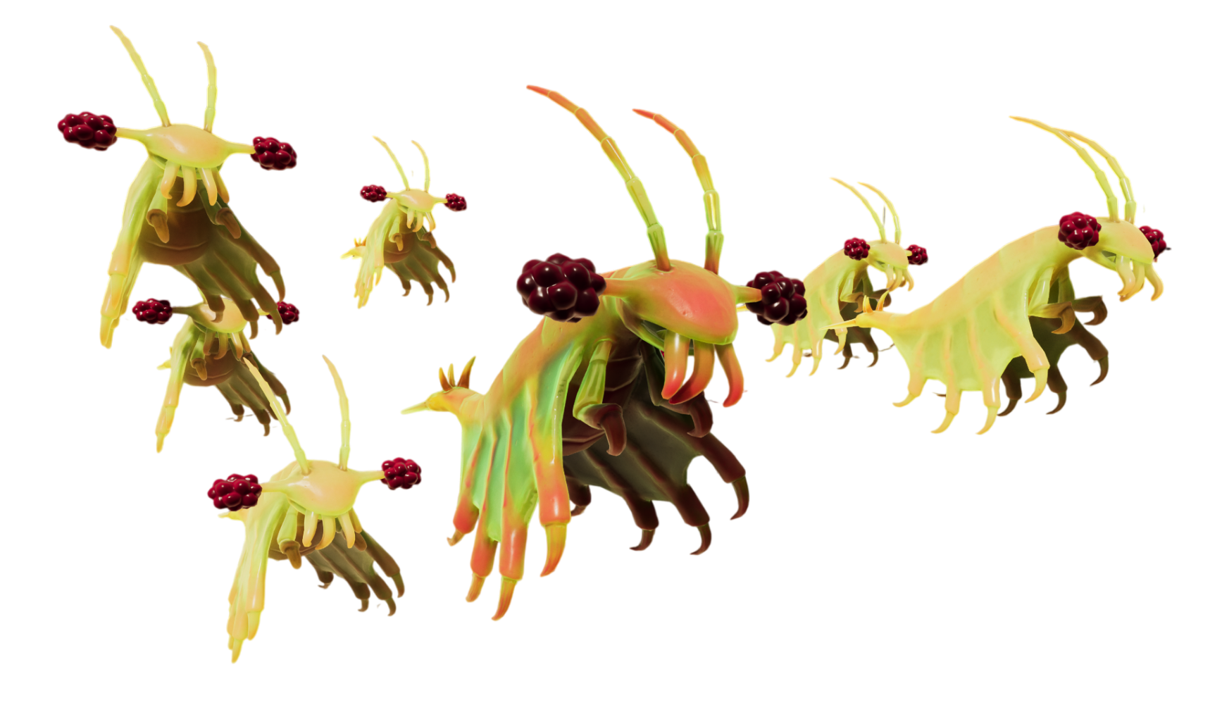 Pond Jockey Swarm